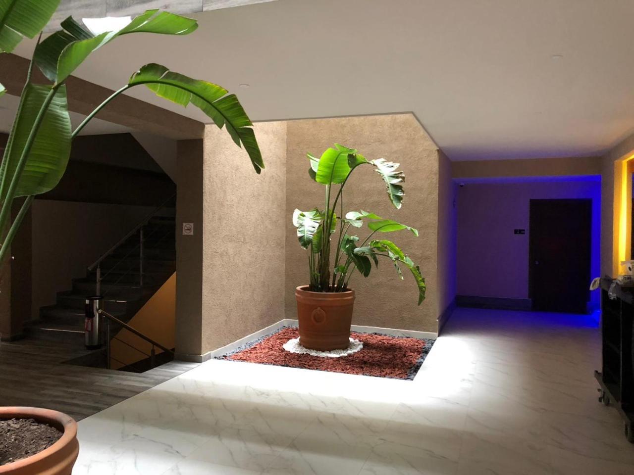 Hotel Plaza Arteaga Monterrey Buitenkant foto