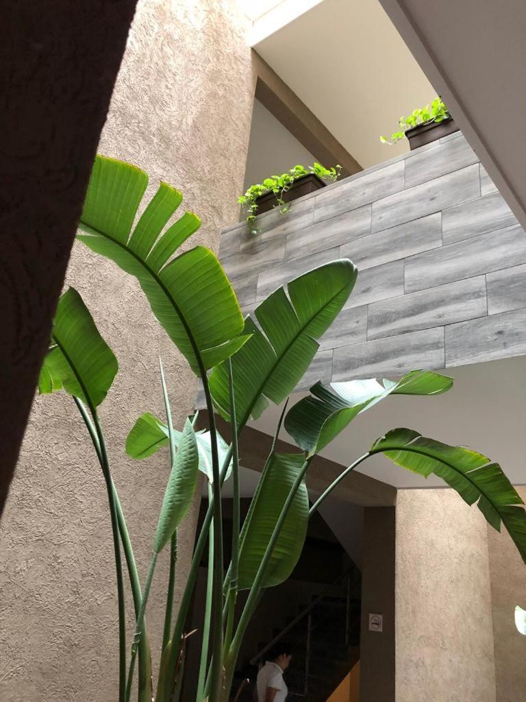 Hotel Plaza Arteaga Monterrey Buitenkant foto